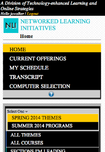 NLI Mobile Experience